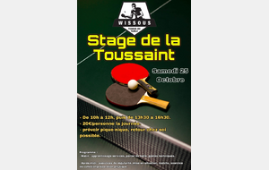 STAGE TOUSSAINT TENNIS DE TABLE